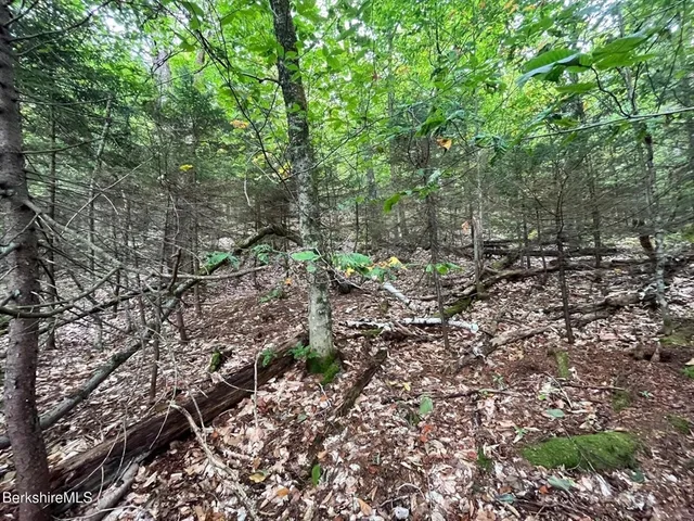 a view of a large yard with lots of green space