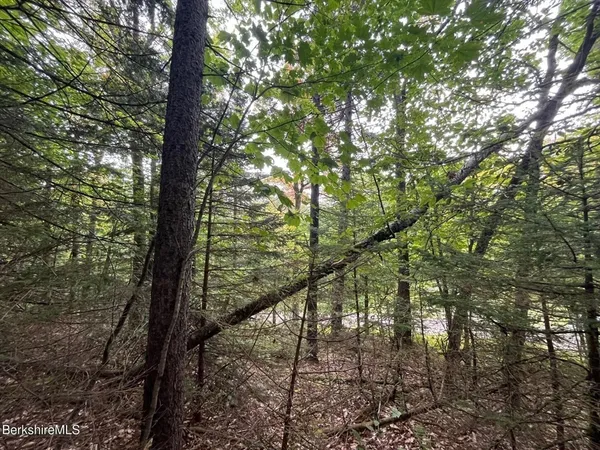 $30,000 | 0 Manley Phelps Road, North Adams, MA 01247
