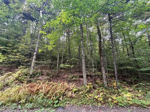 $30,000 | 0 Manley Phelps Road, North Adams, MA 01247