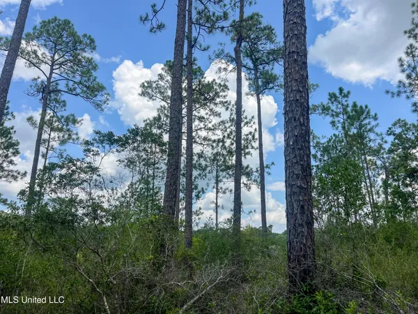 $295,000 | Rayford Shumock Road, Moss Point, MS 39562
