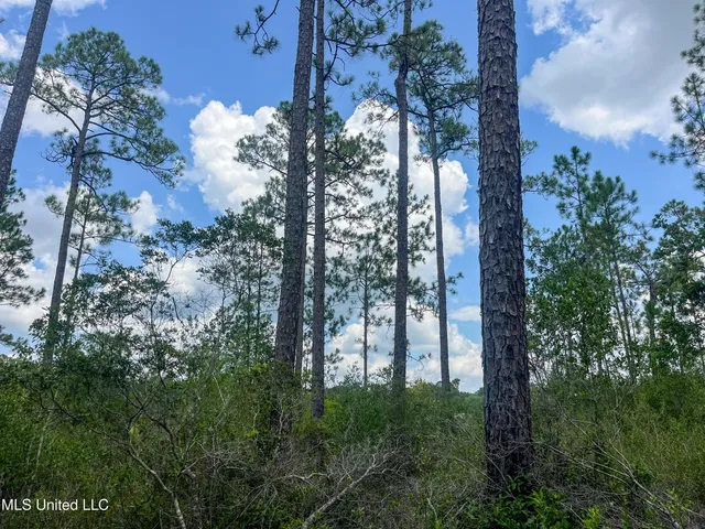 $319,500 | Rayford Shumock Road, Moss Point, MS 39562