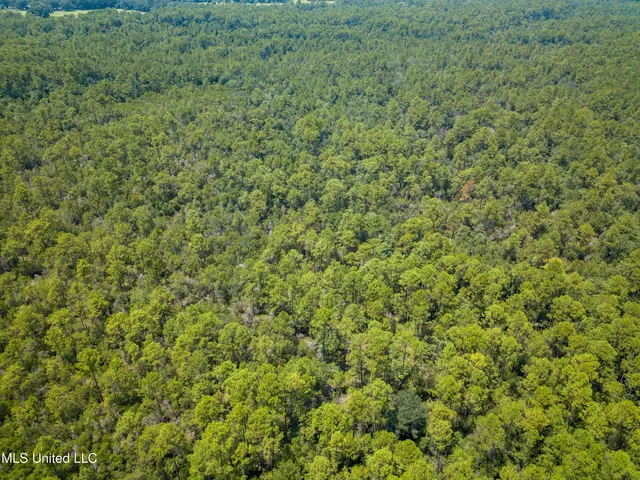 $319,500 | Rayford Shumock Road, Moss Point, MS 39562