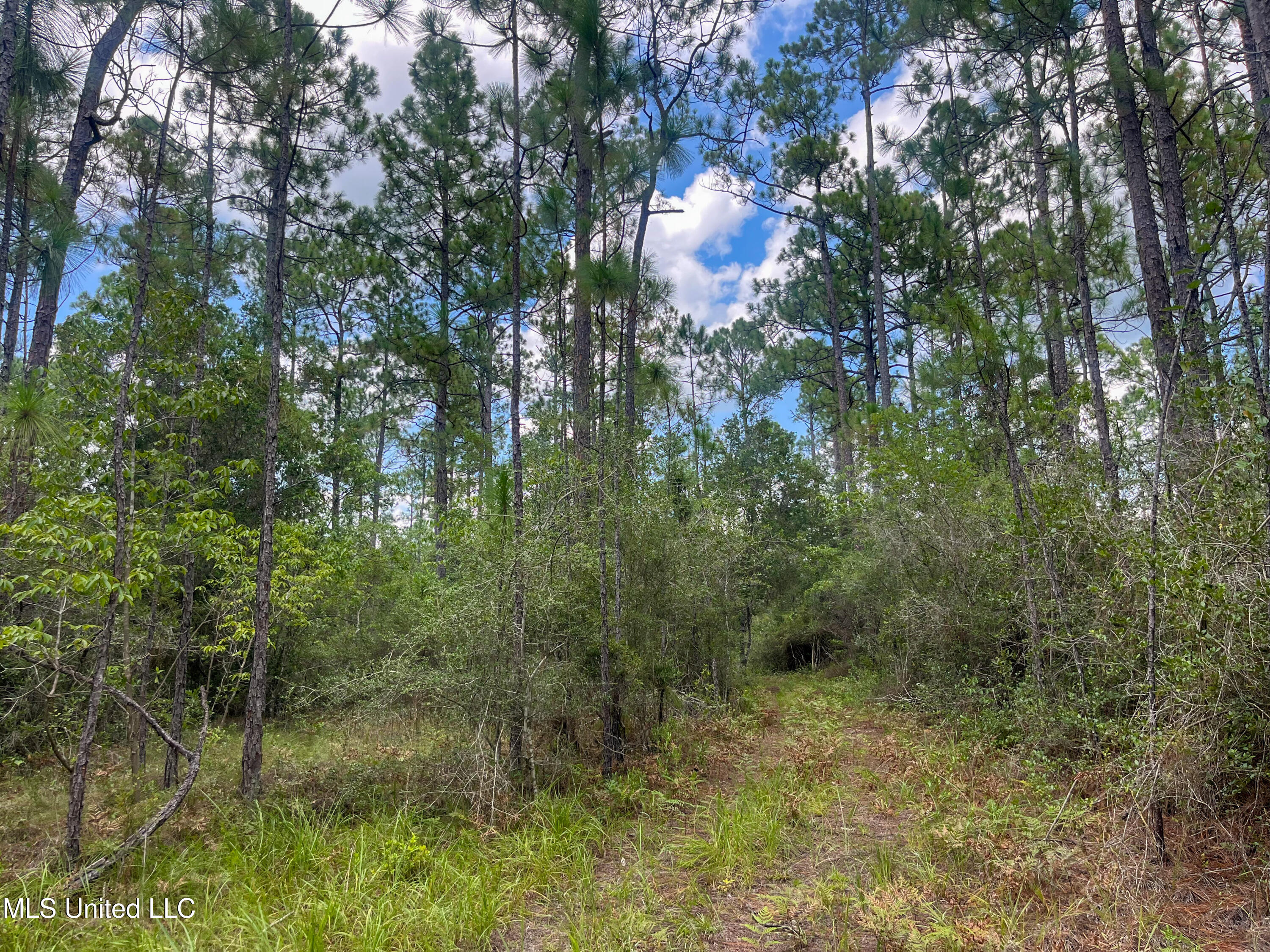 Rayford Shumock Road Moss Point, MS 39562 - Photo 16 of 38 IMG_0510