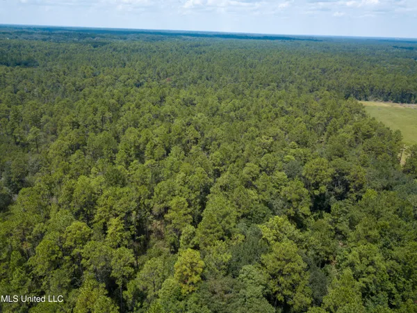 $295,000 | Rayford Shumock Road, Moss Point, MS 39562