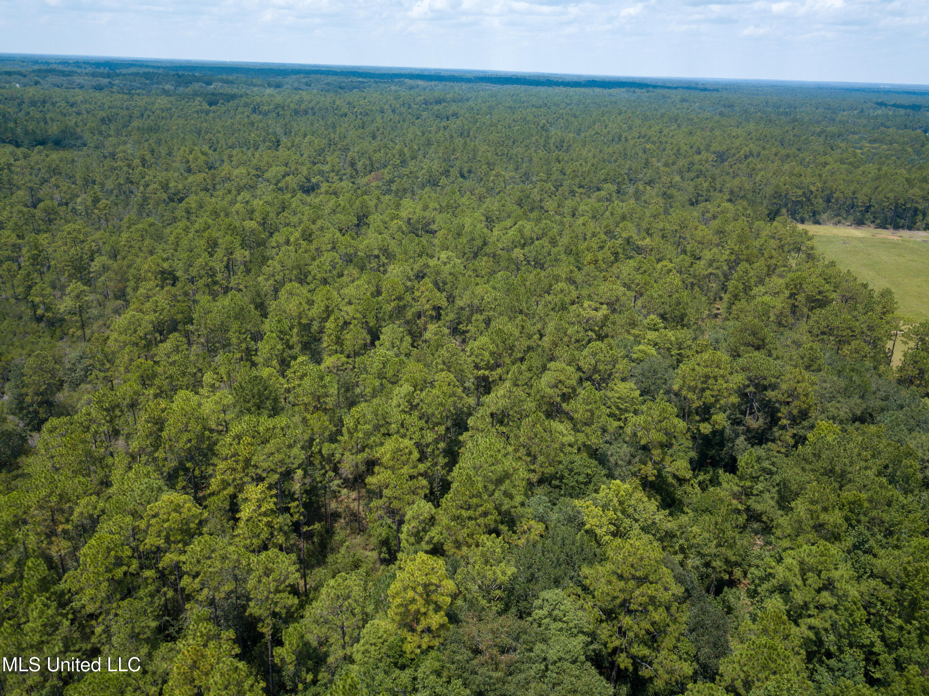 Rayford Shumock Road Moss Point, MS 39562 - Photo 22 of 38 DJI_0570