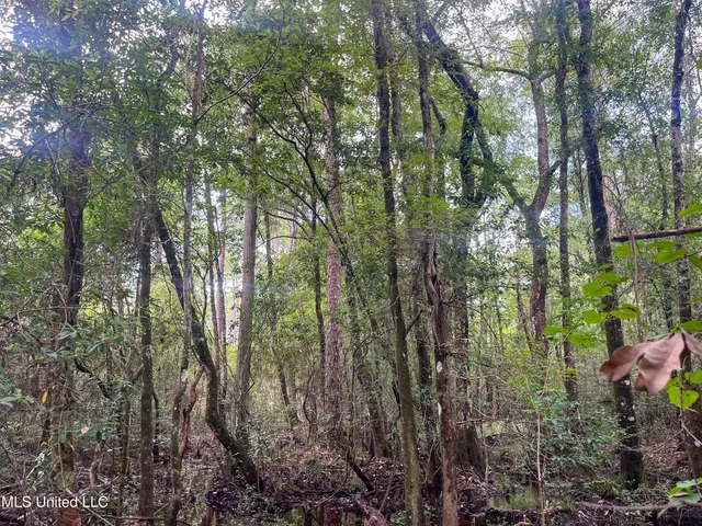 $319,500 | Rayford Shumock Road, Moss Point, MS 39562