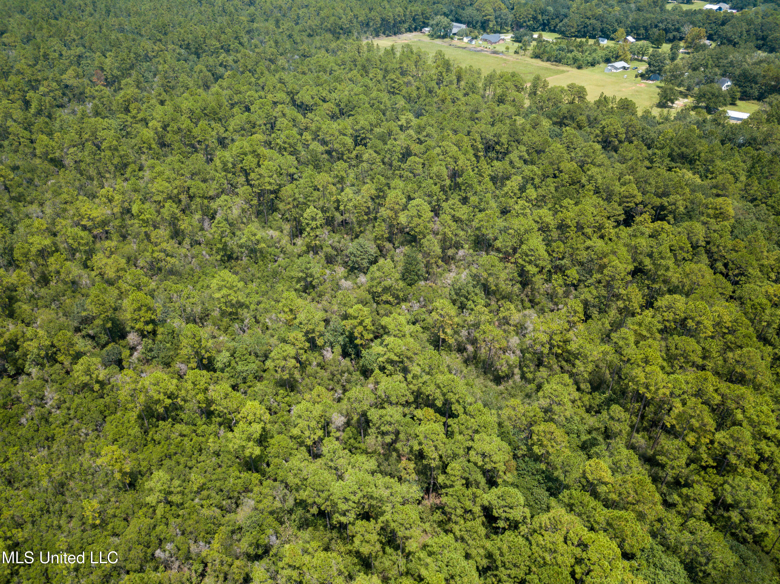 Rayford Shumock Road Moss Point, MS 39562 - Photo 24 of 38 DJI_0572