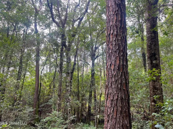 $295,000 | Rayford Shumock Road, Moss Point, MS 39562