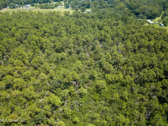 $319,500 | Rayford Shumock Road, Moss Point, MS 39562