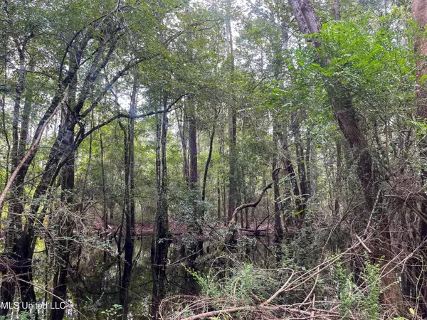 $295,000 | Rayford Shumock Road, Moss Point, MS 39562