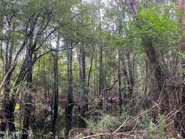 $319,500 | Rayford Shumock Road, Moss Point, MS 39562