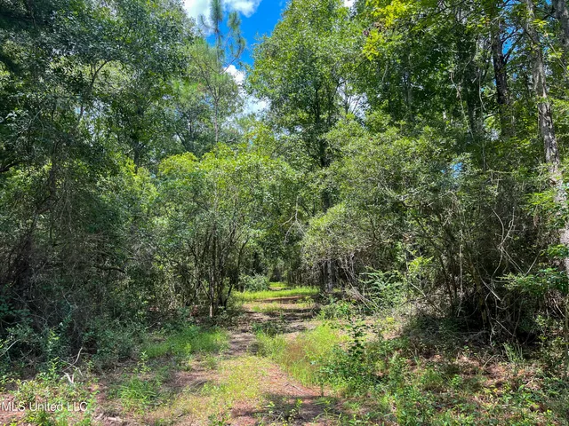 $319,500 | Rayford Shumock Road, Moss Point, MS 39562