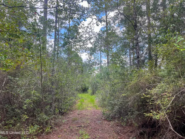 $319,500 | Rayford Shumock Road, Moss Point, MS 39562