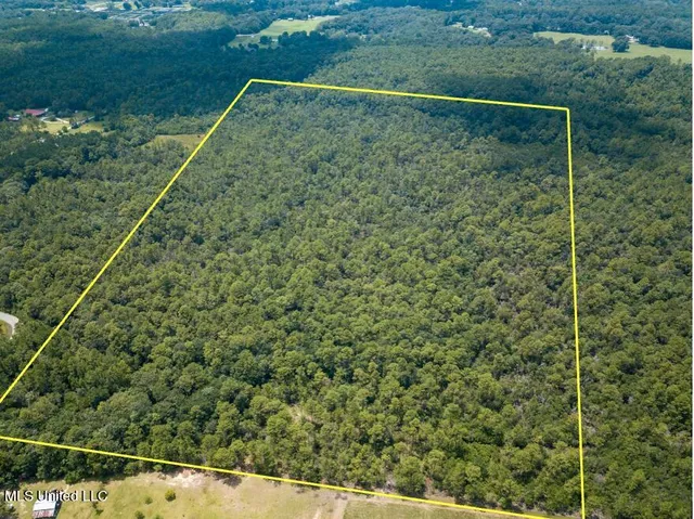 $319,500 | Rayford Shumock Road, Moss Point, MS 39562