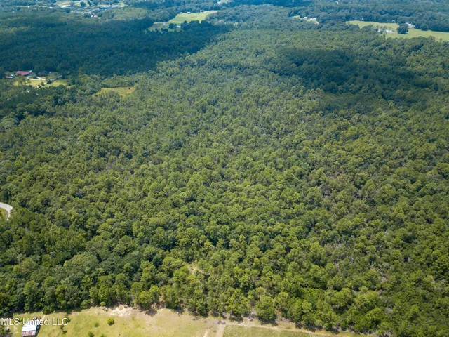 $319,500 | Rayford Shumock Road, Moss Point, MS 39562