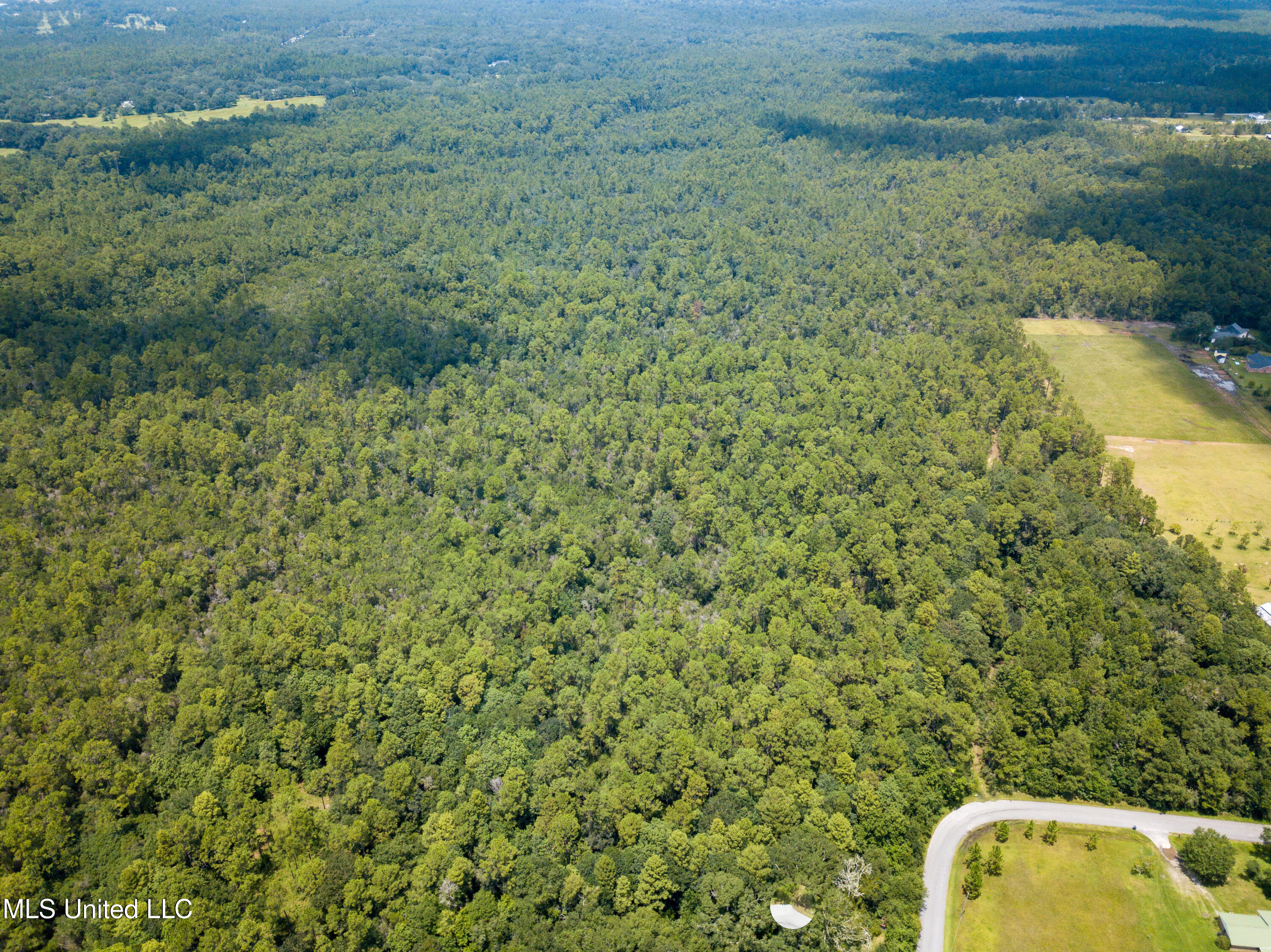Rayford Shumock Road Moss Point, MS 39562 - Photo 8 of 38 DJI_0559