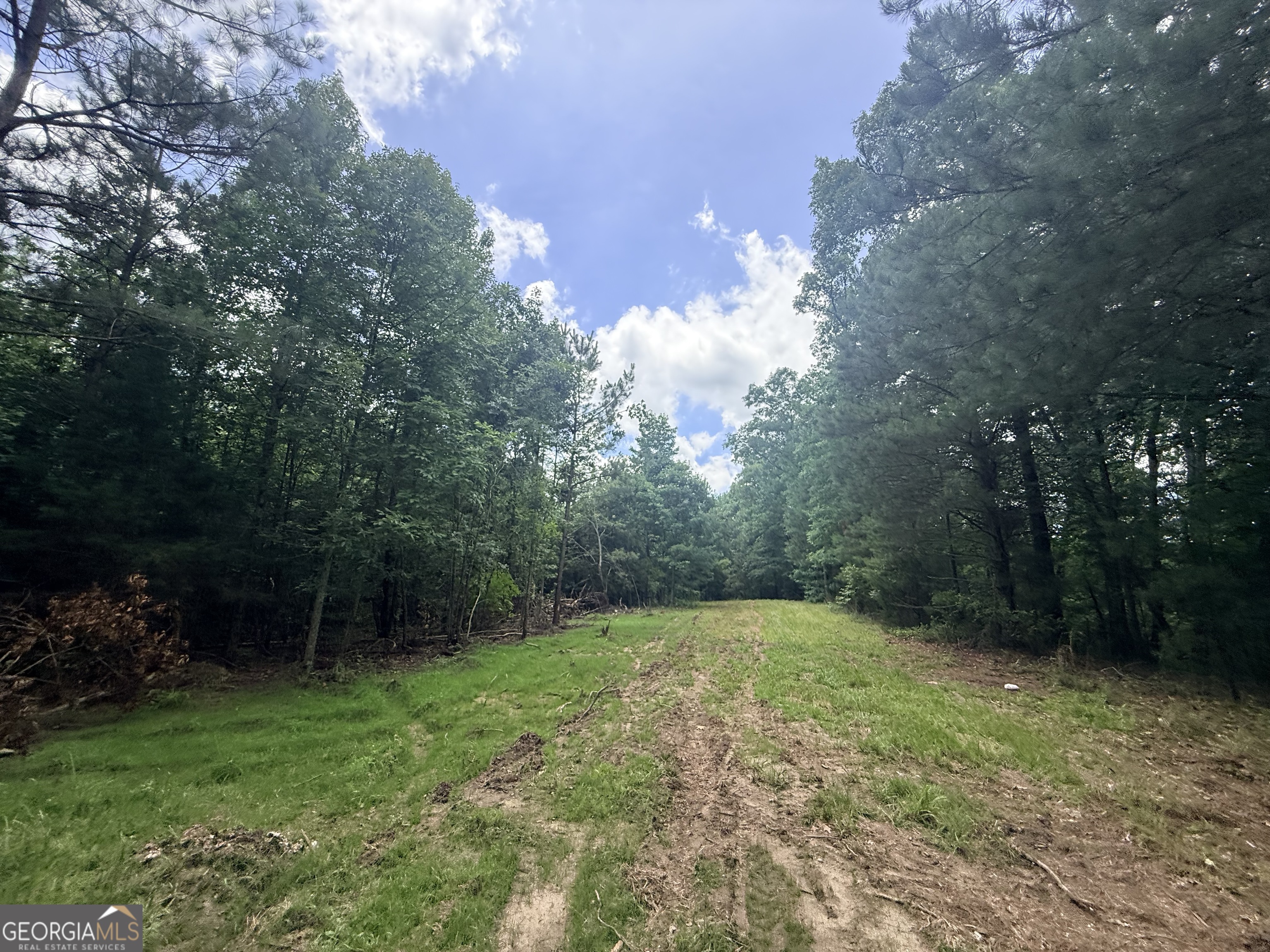 2787 Cedar Creek Road Elberton, GA 30635 - Photo 3 of 88
