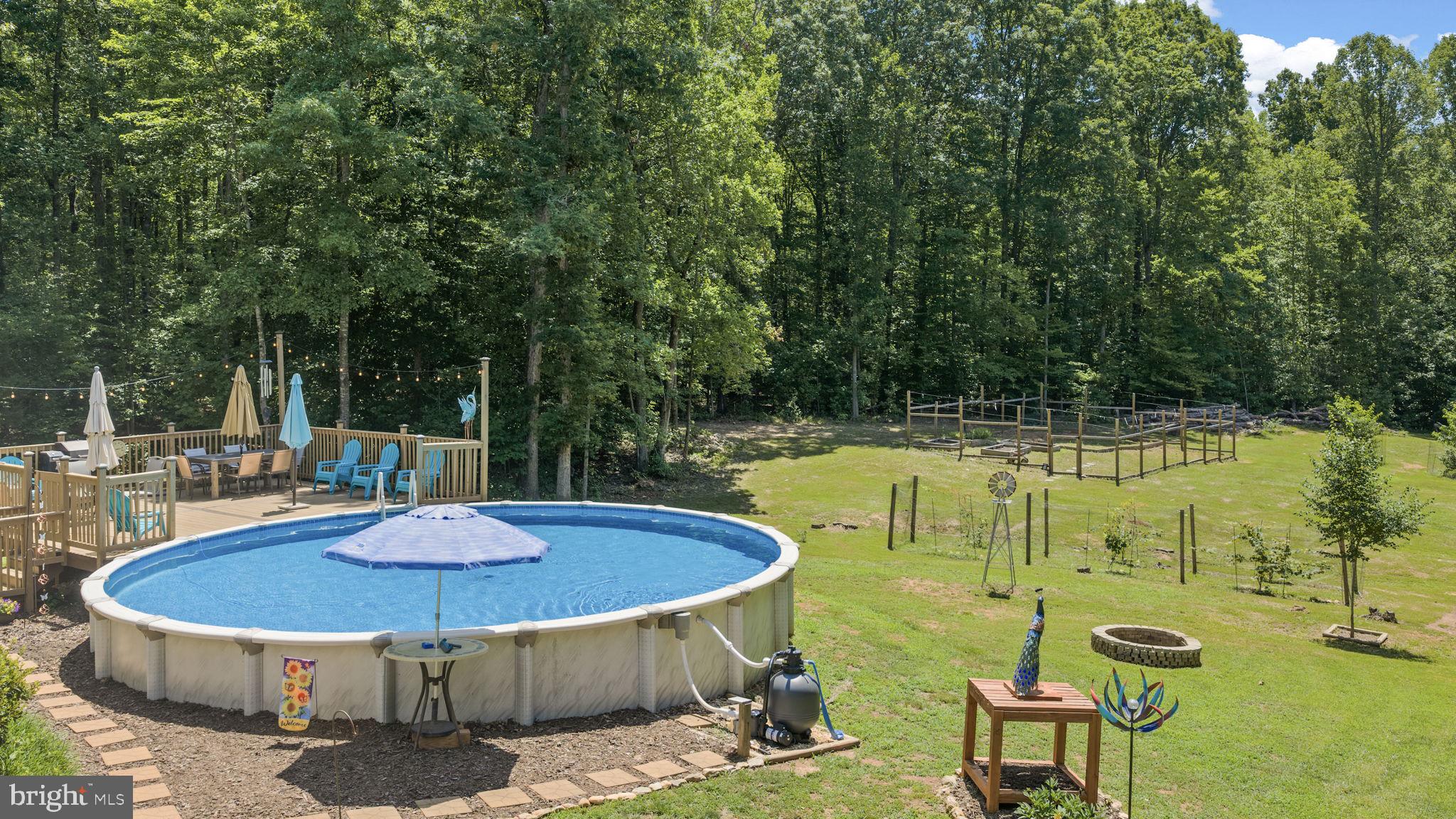 621 Ridgemont Drive Louisa, VA 23093 - Photo 54 of 81 Rear yard and pool
