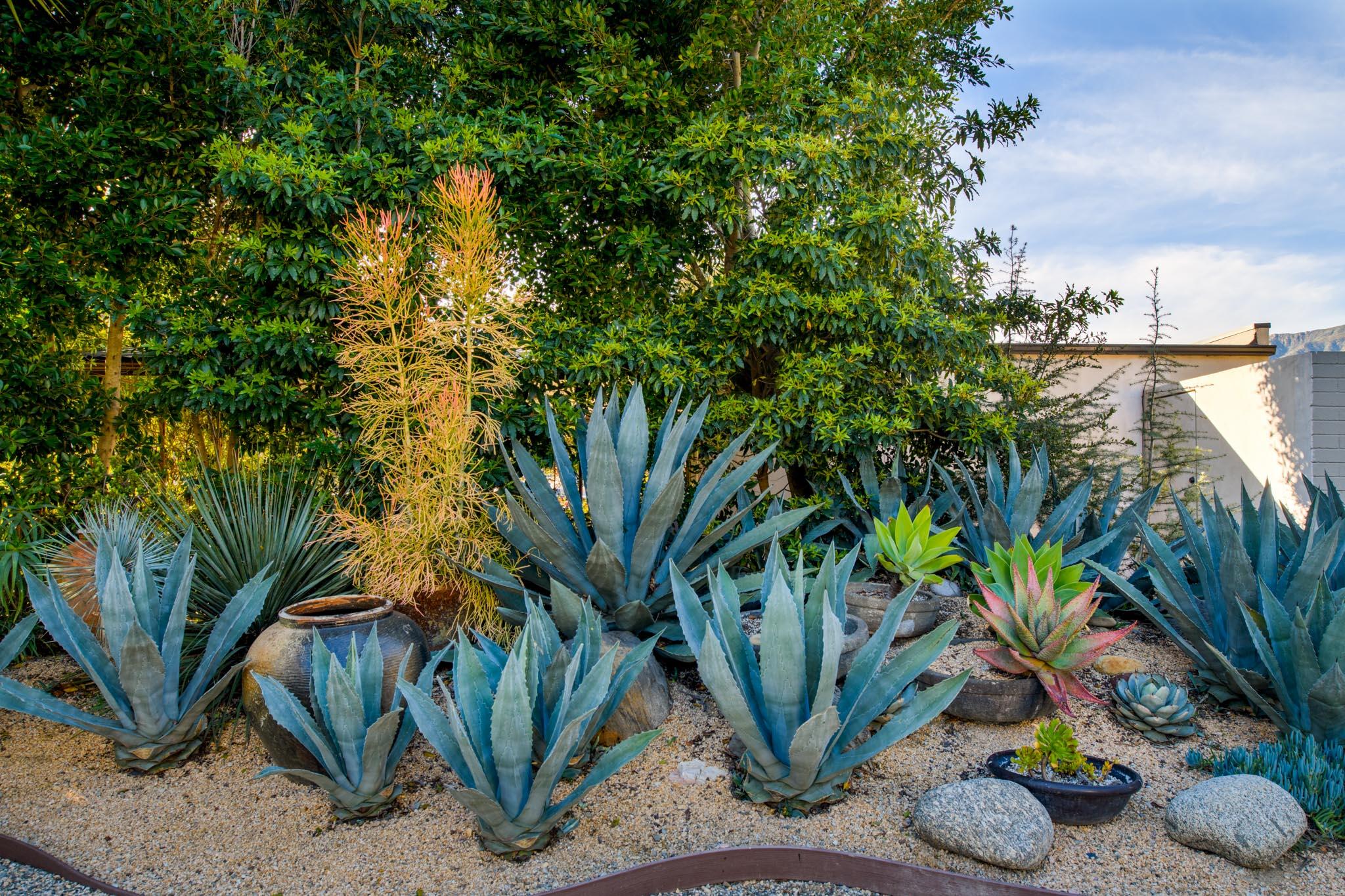 1524 East Valley Road Montecito, CA 93108 - Photo 20 of 20 Garden area in front