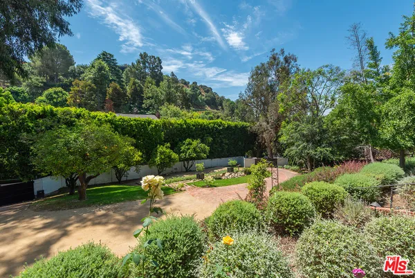 a view of a backyard with couches plants and large trees