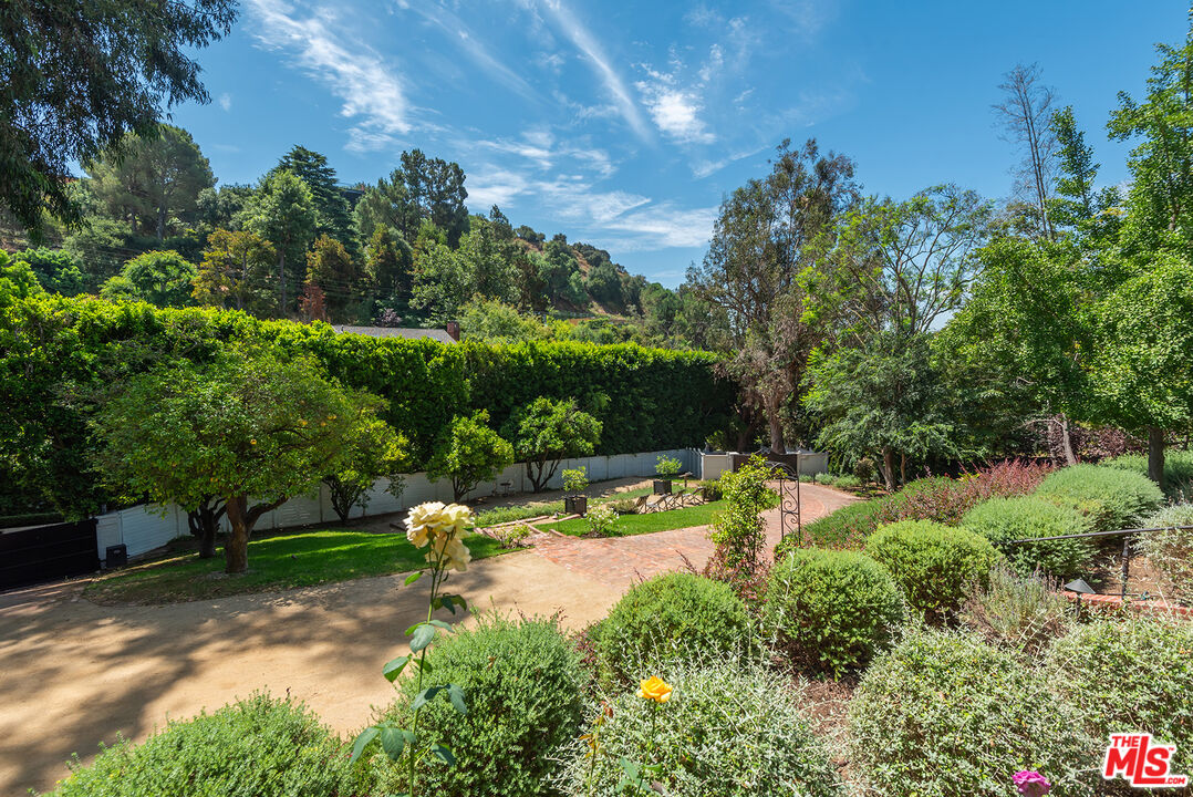 9305 Hazen Drive Beverly Hills, CA 90210 - Photo 7 of 59 a view of a garden with a bench