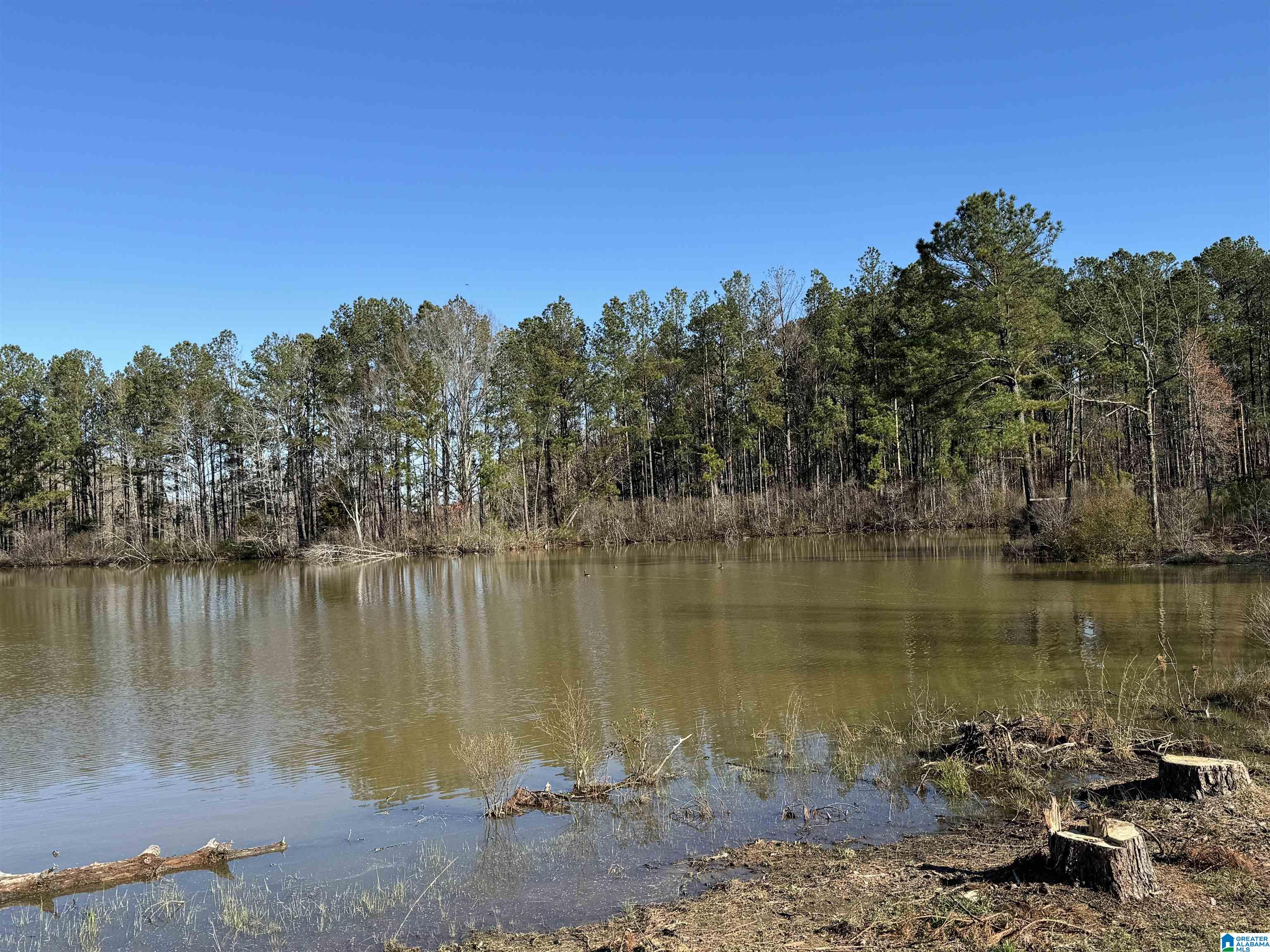 1080 County Road 46, Unit 1 Montevallo, AL 35115 - Photo 7 of 13