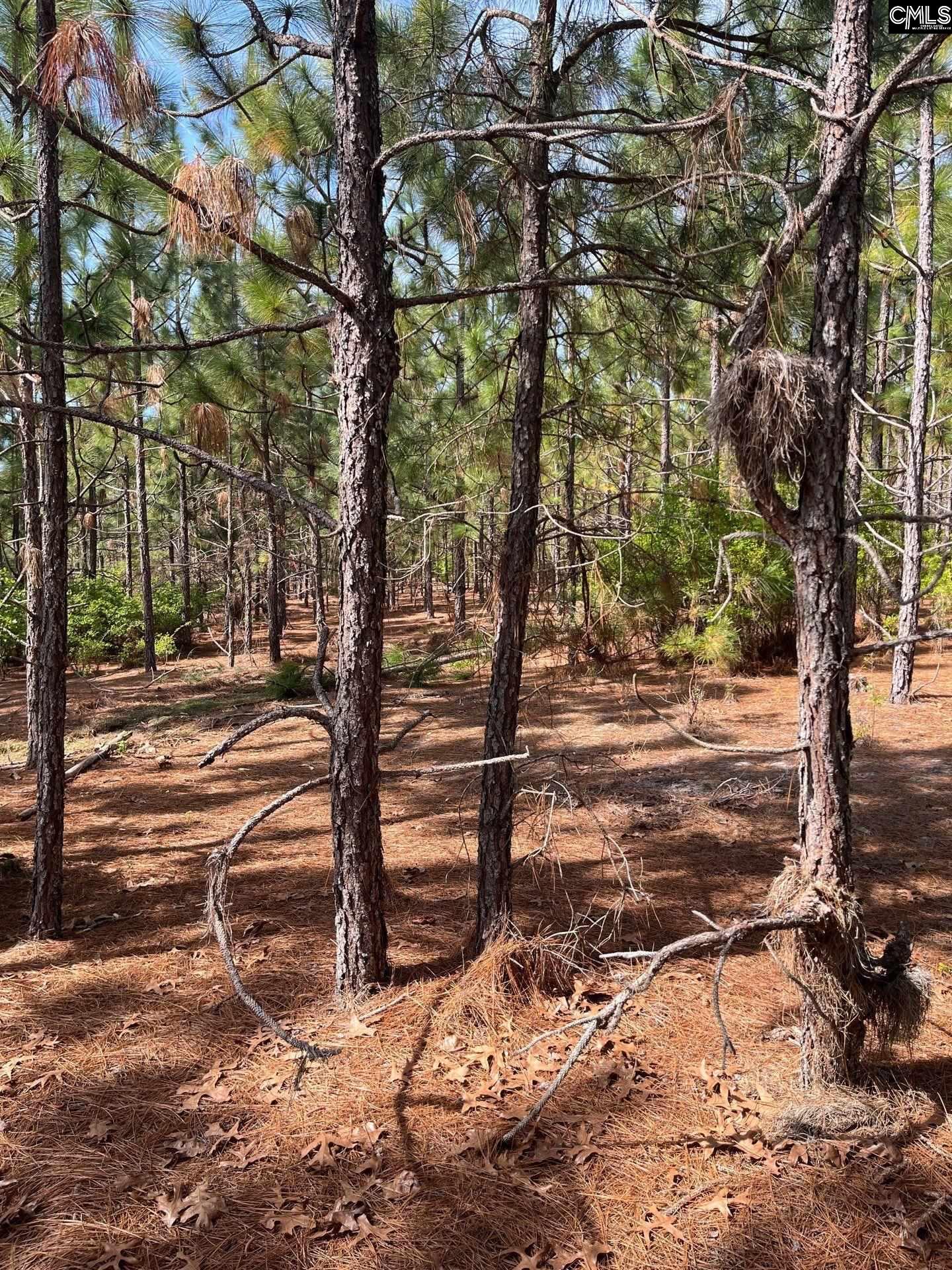 9 Beaver Dam Road Cassatt, SC 29032 - Photo 21 of 25