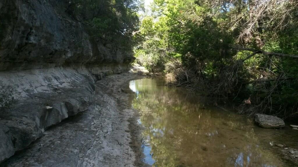 1850 North Rainbow Ranch Road Wimberley, TX 78676 - Photo 14 of 26 a view of a yard with plants and a bench