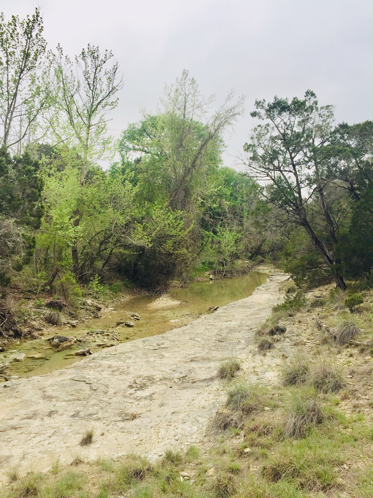 1850 North Rainbow Ranch Road Wimberley, TX 78676 - Photo 19 of 26 a view of ocean