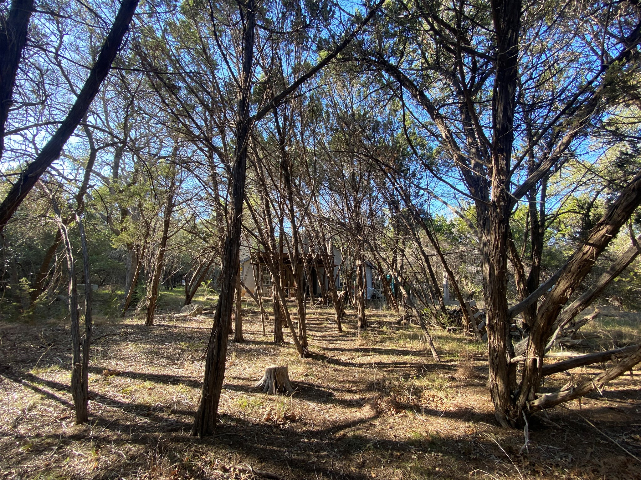 1850 North Rainbow Ranch Road Wimberley, TX 78676 - Photo 21 of 26 a view of yard