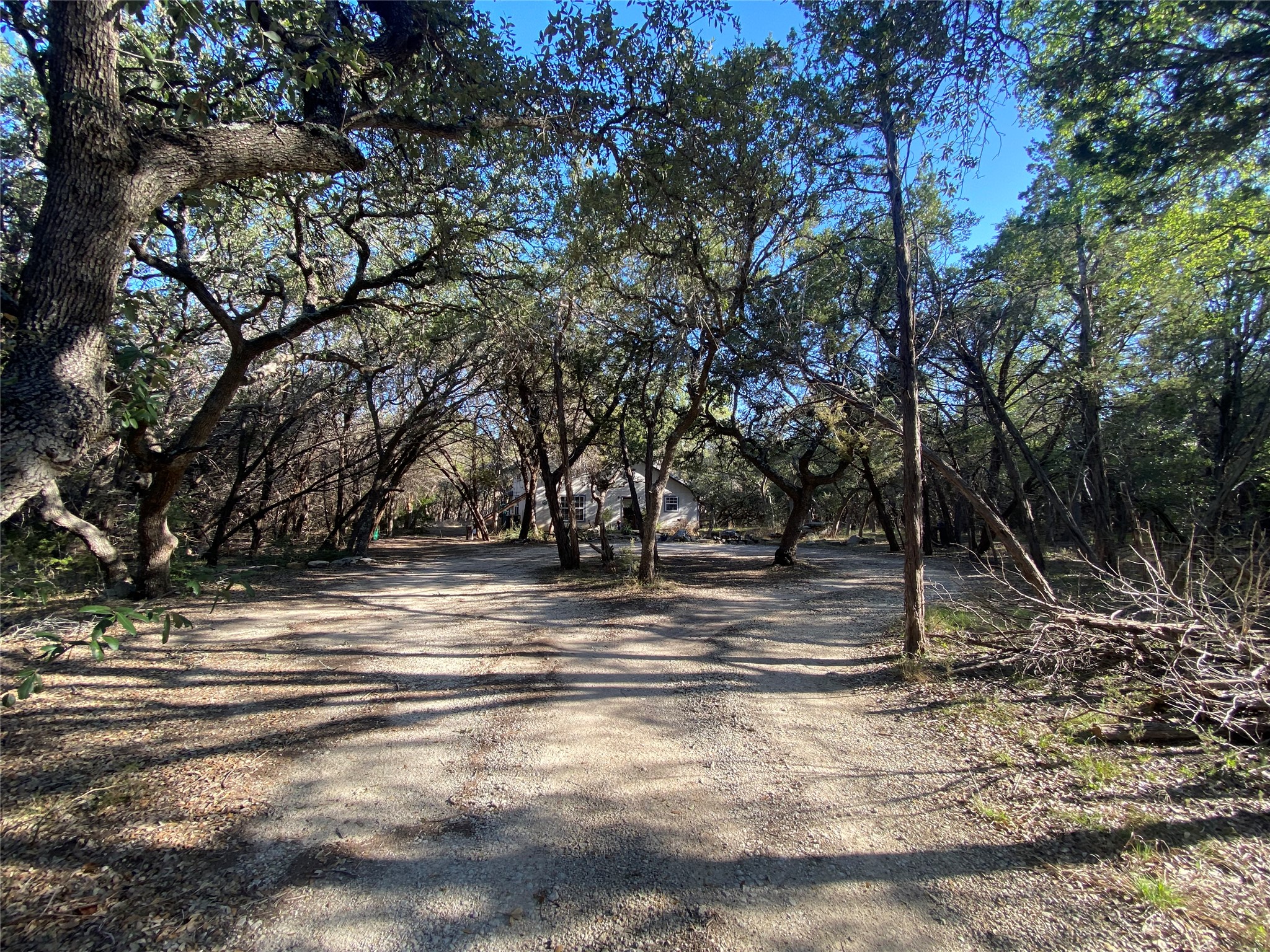 1850 North Rainbow Ranch Road Wimberley, TX 78676 - Photo 24 of 26 a view of park space with large trees