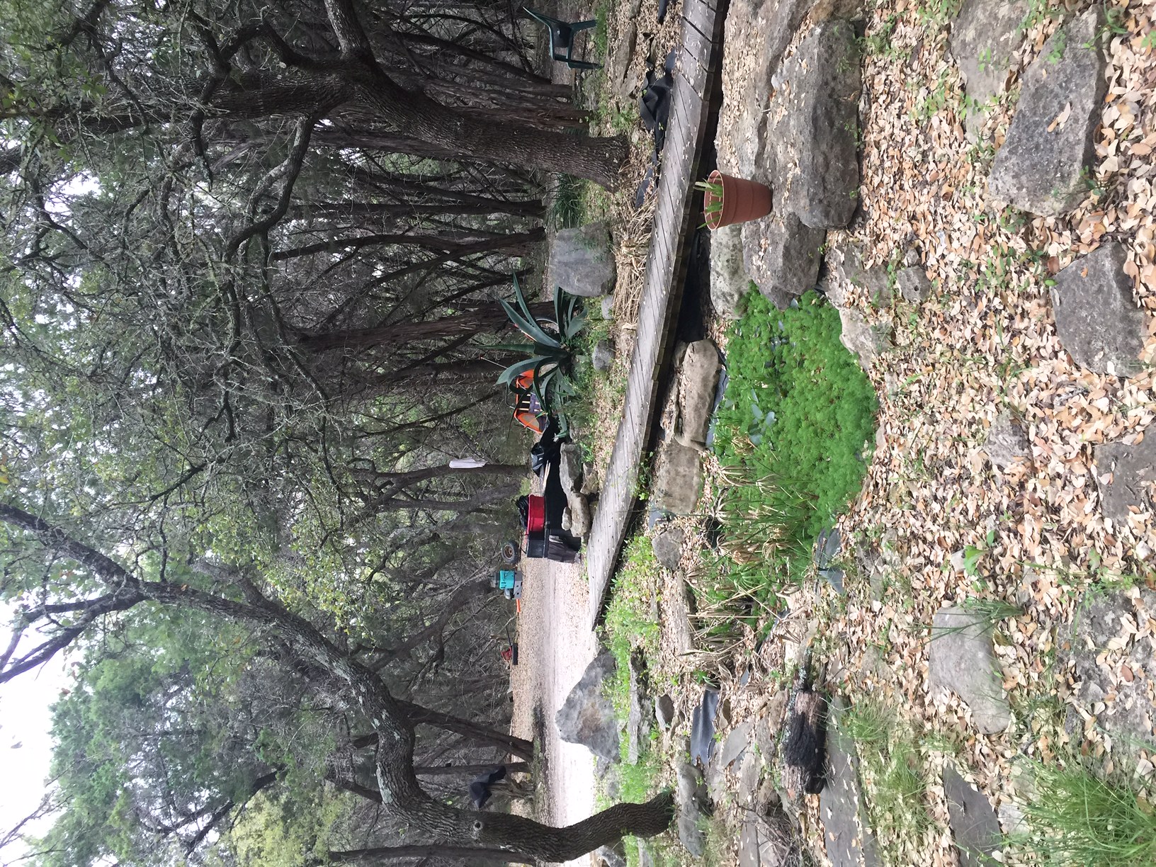 1850 North Rainbow Ranch Road Wimberley, TX 78676 - Photo 10 of 26 a view of a park with large trees