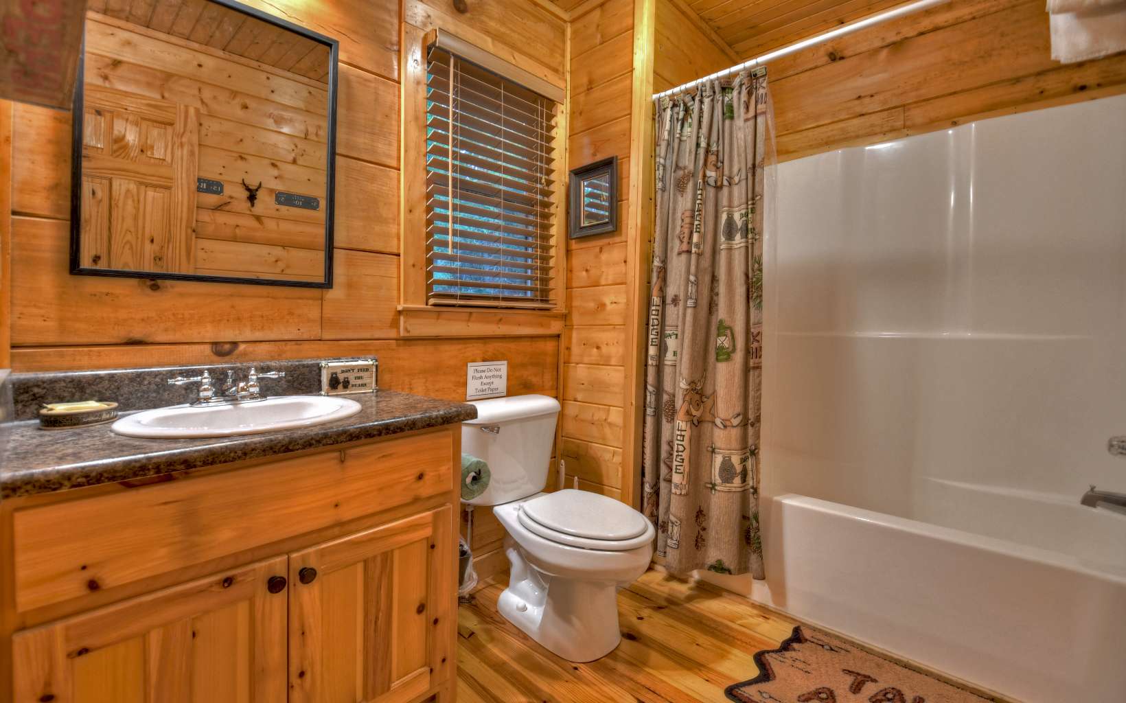 3734 Aska Road Blue Ridge, GA 30513 - Photo 16 of 41 Additional View