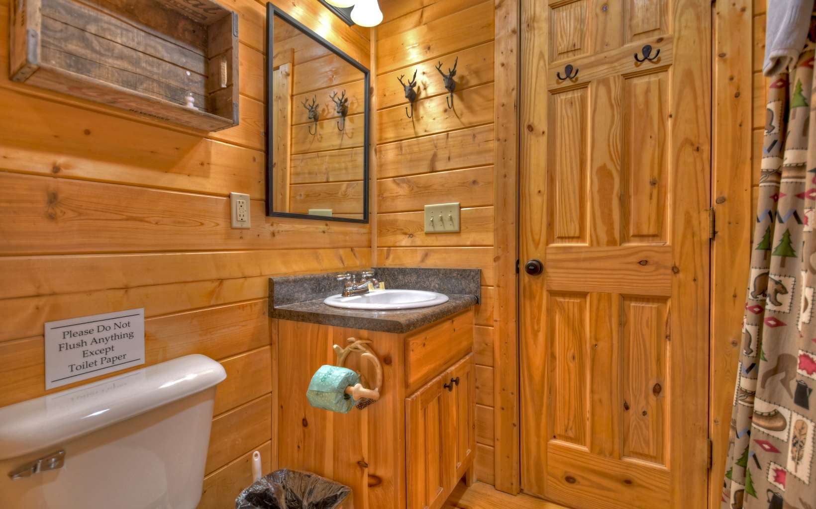 3734 Aska Road Blue Ridge, GA 30513 - Photo 21 of 41 Additional View