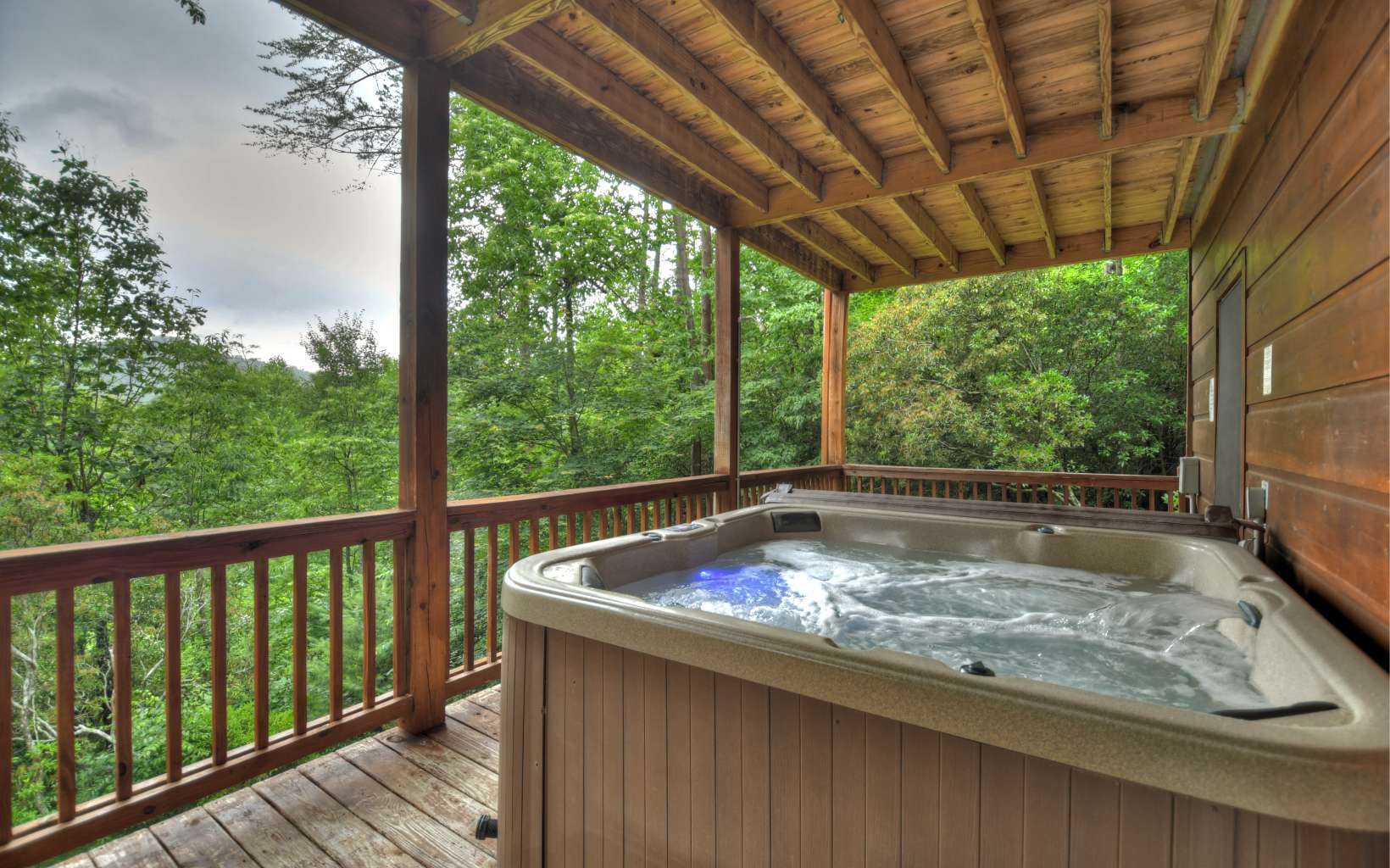 3734 Aska Road Blue Ridge, GA 30513 - Photo 30 of 41 Additional View