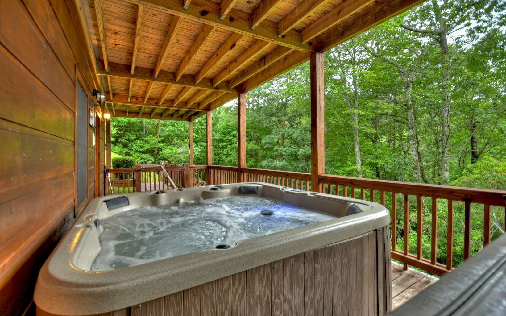 3734 Aska Road Blue Ridge, GA 30513 - Photo 31 of 41 Additional View