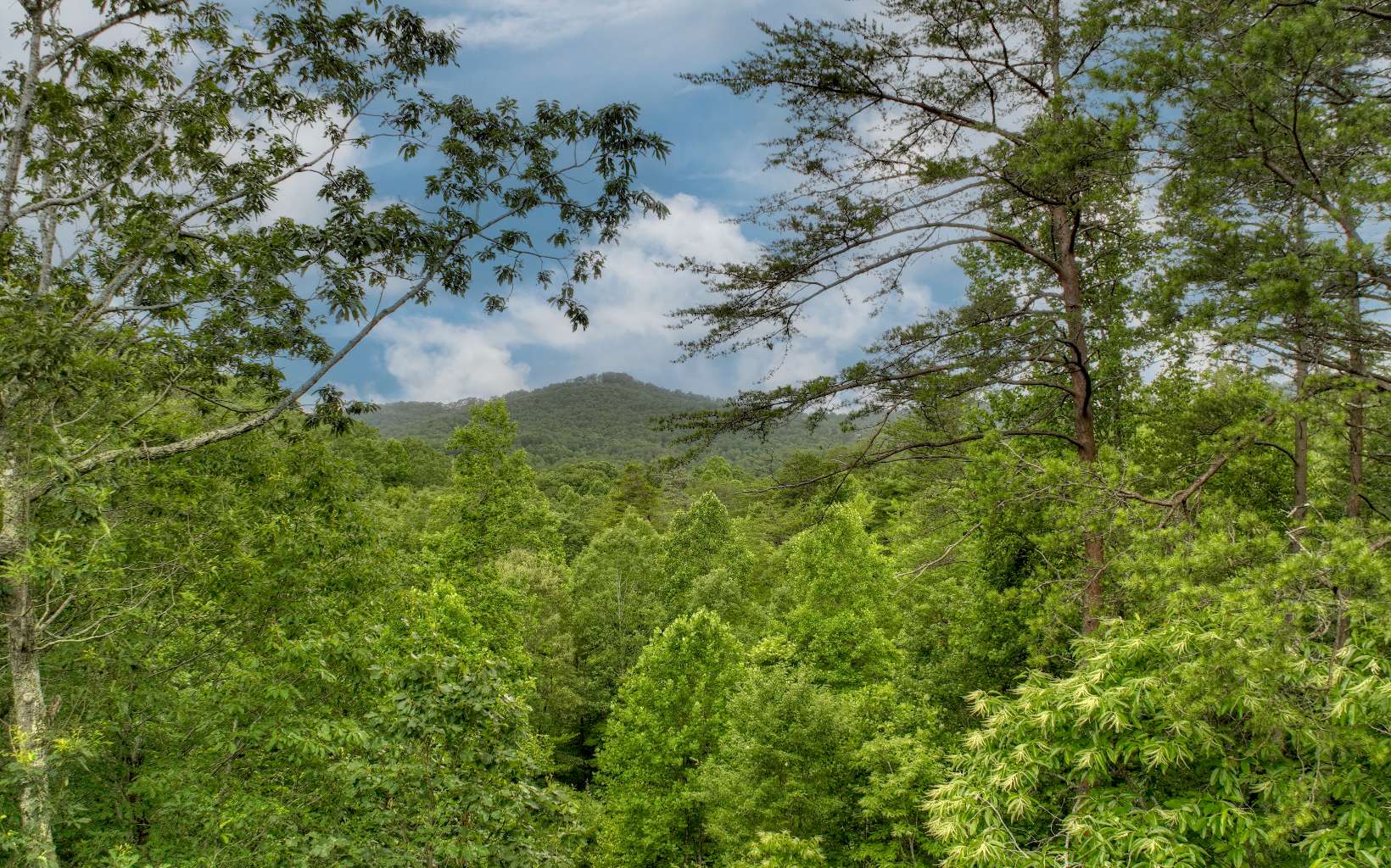 3734 Aska Road Blue Ridge, GA 30513 - Photo 38 of 41 Additional View