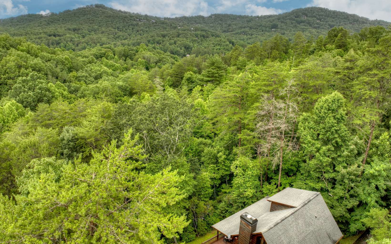 3734 Aska Road Blue Ridge, GA 30513 - Photo 39 of 41 Additional View