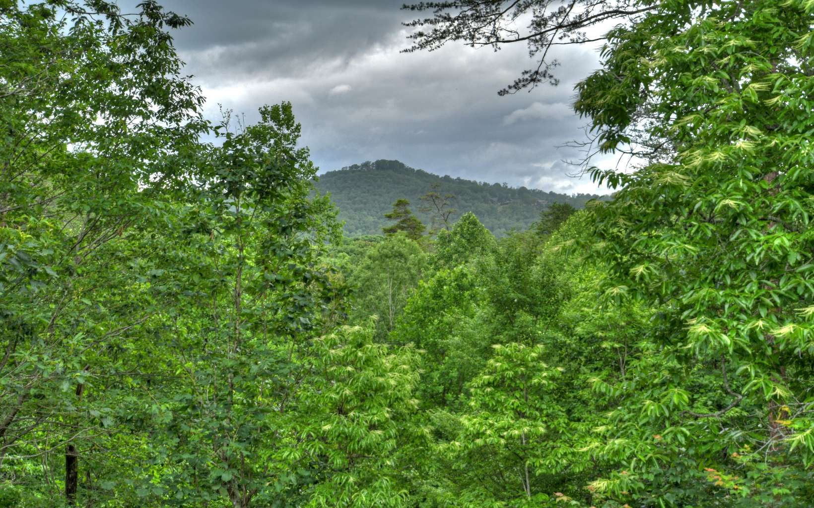3734 Aska Road Blue Ridge, GA 30513 - Photo 4 of 41 Additional View