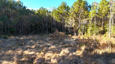 $39,900 | Lot 2 Old Nc 903 Highway, Magnolia, NC 28453