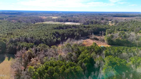$39,900 | Lot 2 Old Nc 903 Highway, Magnolia, NC 28453