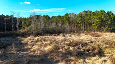 $39,900 | Lot 2 Old Nc 903 Highway, Magnolia, NC 28453