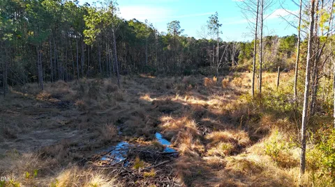 $39,900 | Lot 2 Old Nc 903 Highway, Magnolia, NC 28453