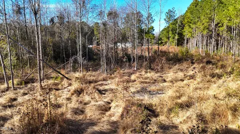 $39,900 | Lot 2 Old Nc 903 Highway, Magnolia, NC 28453