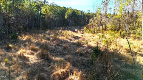 $39,900 | Lot 2 Old Nc 903 Highway, Magnolia, NC 28453
