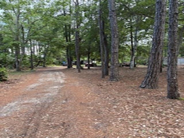 6941 Catlett Road St. Augustine, FL 32095 - Photo 3 of 4 a view of a forest with trees in the background