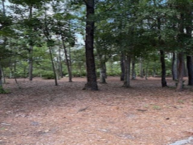 6941 Catlett Road St. Augustine, FL 32095 - Photo 4 of 4 a view of a forest with trees in the background