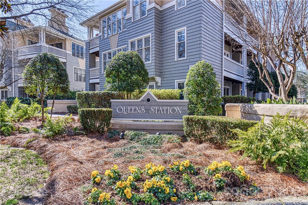 232 Queens Road, Unit 47 Charlotte, NC 28204 - Photo 2 of 19 Gallery Image 2