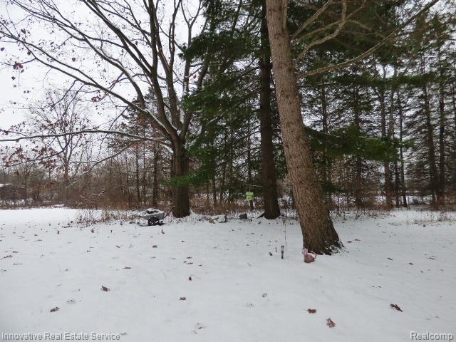 3820 Havens Road Dryden, MI 48428 - Photo 20 of 56
