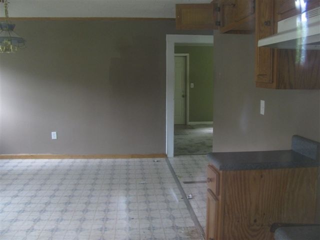 604 South Whiskey Road Candor, NC 27229 - Photo 3 of 3 Additional Photo